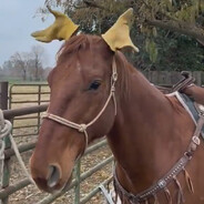 Probably a moose avatar