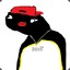 pingu.png