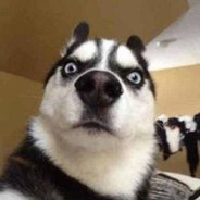 一脸懵逼的萌新