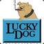 LuckyDog