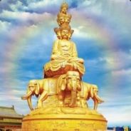 烟台小屠夫青年先疯队引领群雄