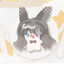 Insomnia雪洛