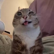 Dᴏᴍᴀɴsᴋɪ⁶⁶⁶'s avatar