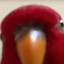 BIRD UP!