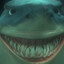 SNR xD