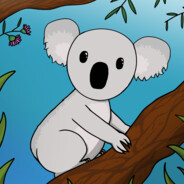 koala
