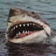 JAWZ_