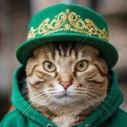 котакбас зaeбaл