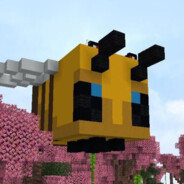 吉他家的大男孩