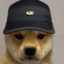 &lt;/&gt;