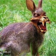 Deadly Bunny