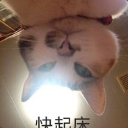 野情绪Zzz