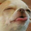 Jędrek
