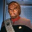 Commander Worf