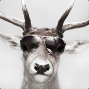 Raindeer