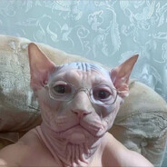 кот нищеброт