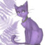 Purple_cat