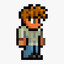 Andrew the Guide