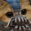 Bane&#039;s Cat