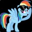 RAINBOW DASH