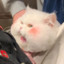 木易