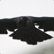 CrowGaming11