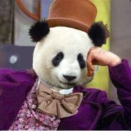 DantheMagic