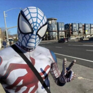 苍山井内自有空