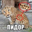 Ливекс's avatar