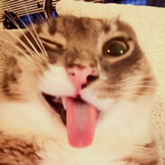 бурятик