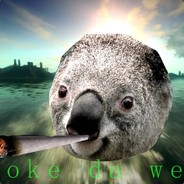 Koala Steam avatar