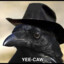 Phil the bird