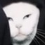 Nix the light drake enjoyer