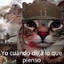 fiv.games110115-TDGR