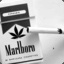 Marlboro