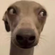 你是一点都不客气啊