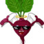 Mr. Beetroot