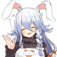 佩克拉の野兔子