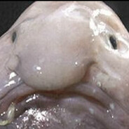 Obema - steam id 76561199869686227