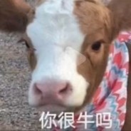 窝德及笄真滴答,