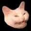 DANICH