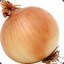 Onion