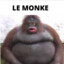 Le Monke