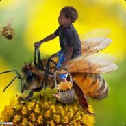 bees's avatar