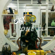 ʚskyONE.T1ɞ