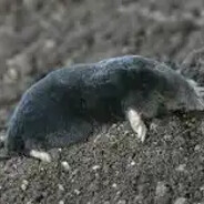 GeSanSrtPaSanKrt - steam id 76561199405958269