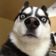 我与旧事归于尽