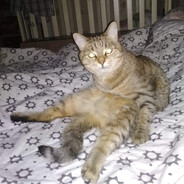 нюрка из дурки