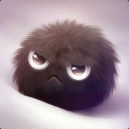 阿诺舒华·生力啤