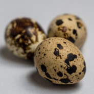 смакай яйки